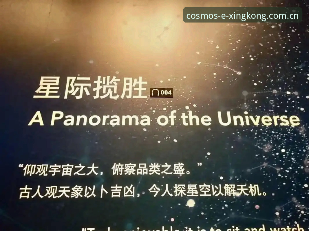 星空官方网站专业深度分析：体育娱乐平台的核心价值与数据解析